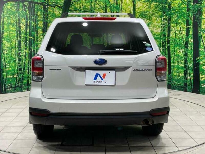 FORESTER-15