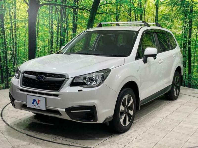 FORESTER-16