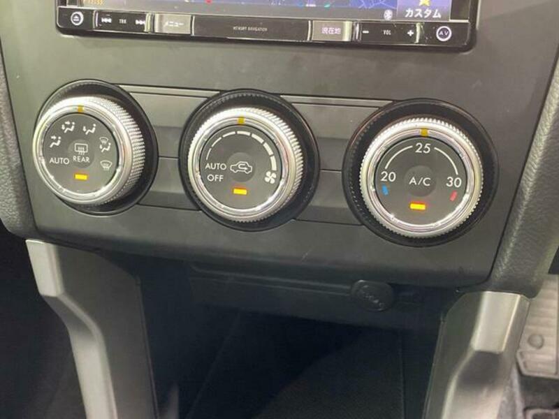 FORESTER-6
