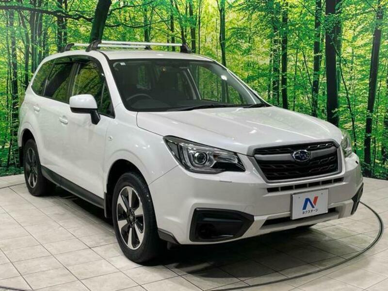 FORESTER-17