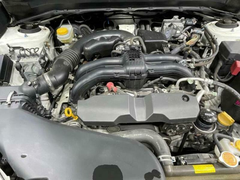 FORESTER-18