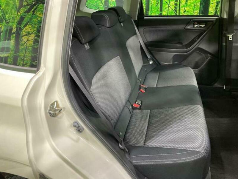 FORESTER-8