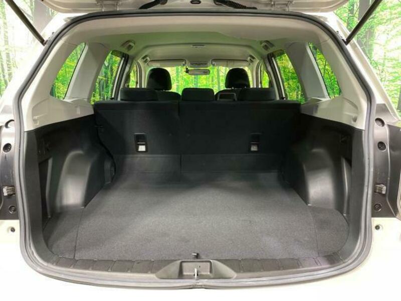 FORESTER-9