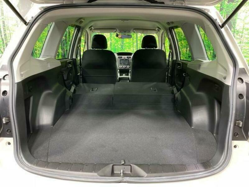 FORESTER-10