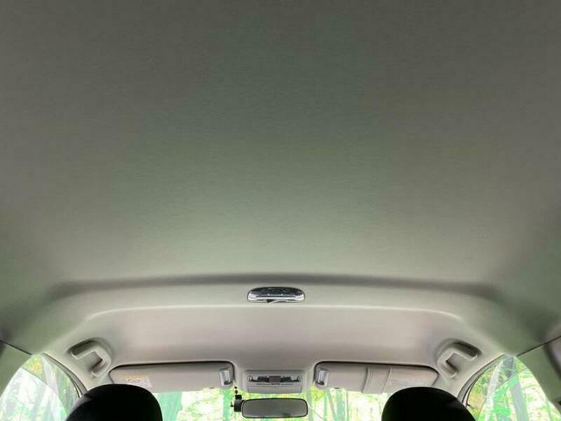 FORESTER-11
