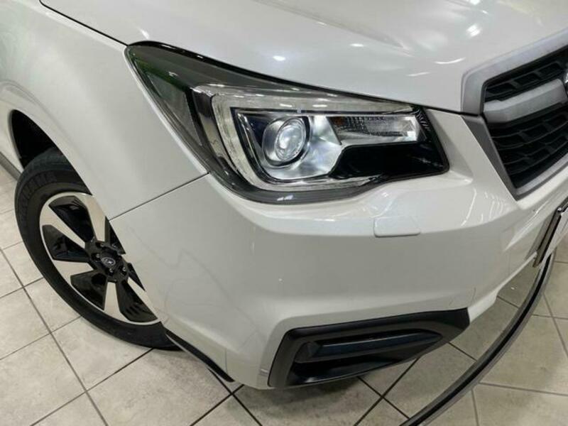 FORESTER-12