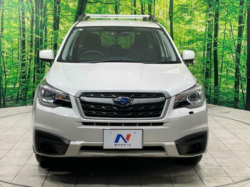 FORESTER-14