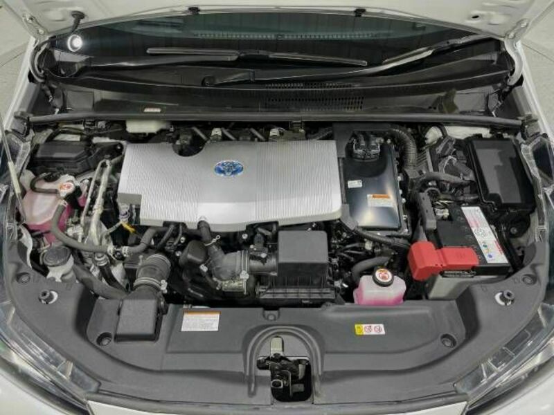 PRIUS-17