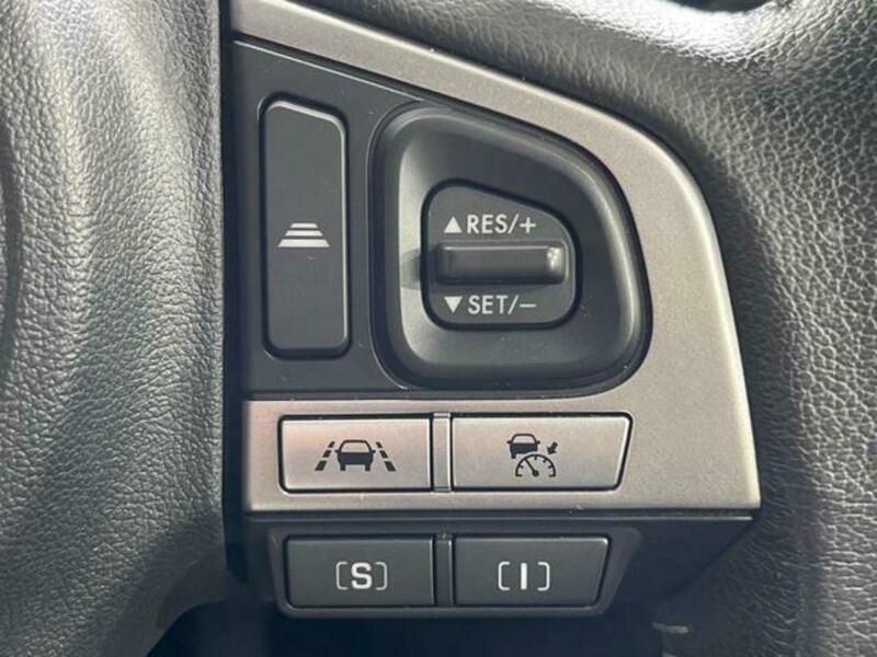 FORESTER-4