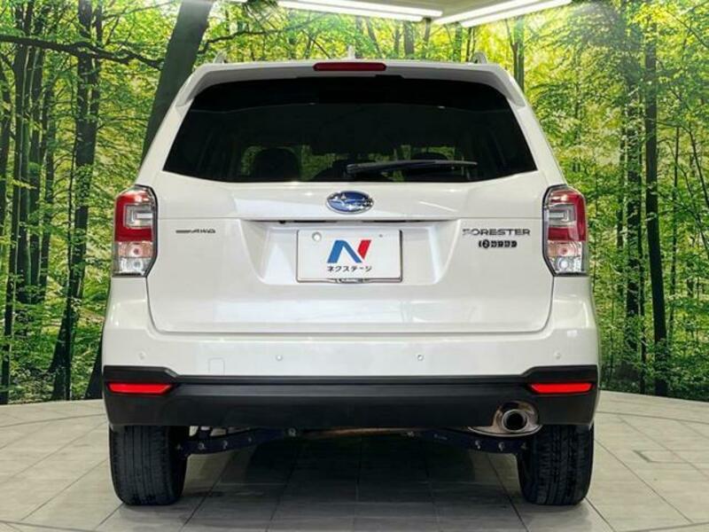 FORESTER-15