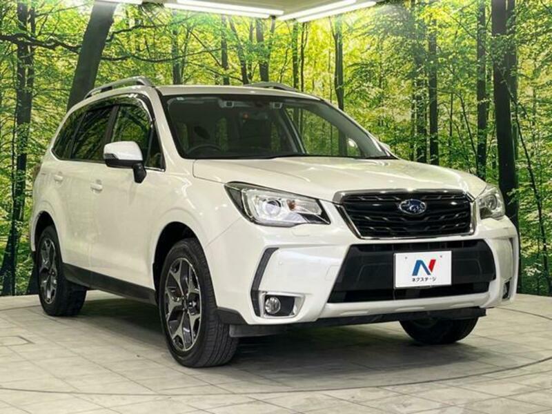 FORESTER-16