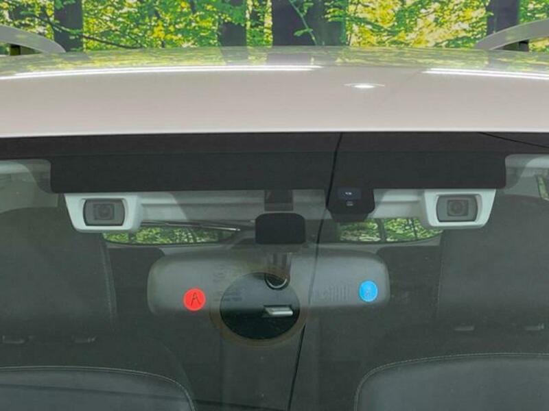 FORESTER-2