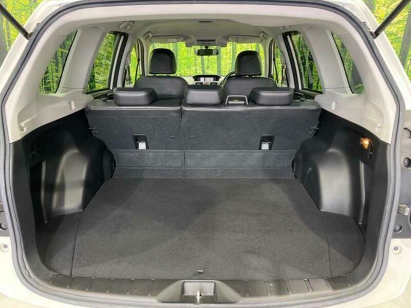 FORESTER-10