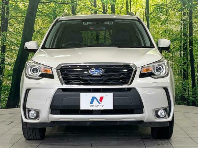 FORESTER-14