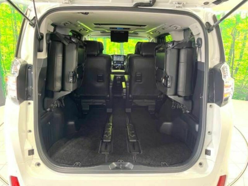 VELLFIRE-10