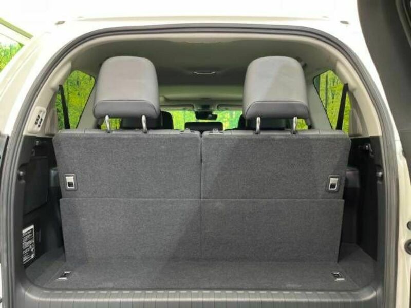 LAND CRUISER PRADO-10