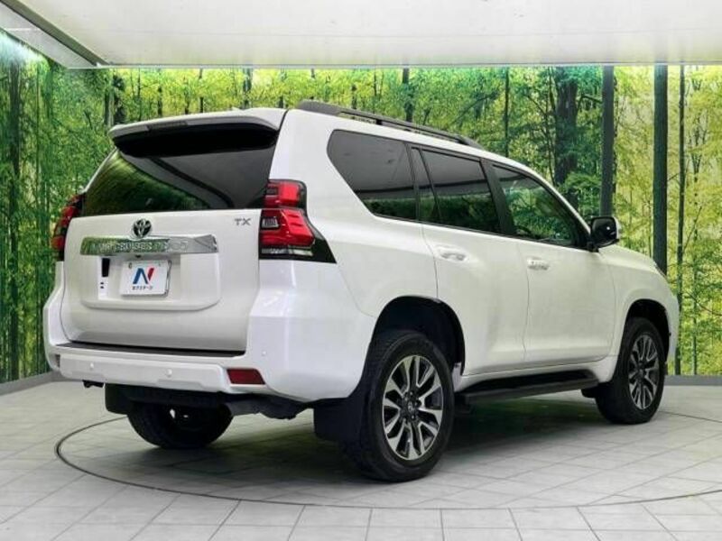 LAND CRUISER PRADO-17