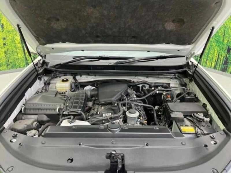 LAND CRUISER PRADO-18
