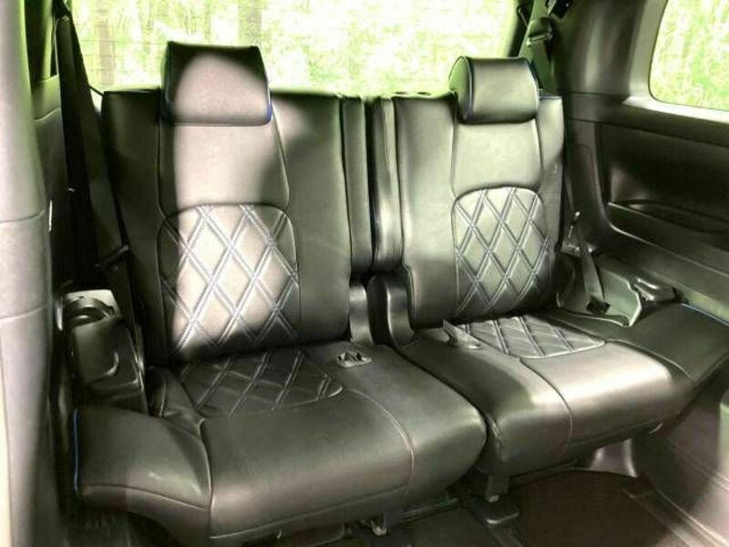 ALPHARD-10