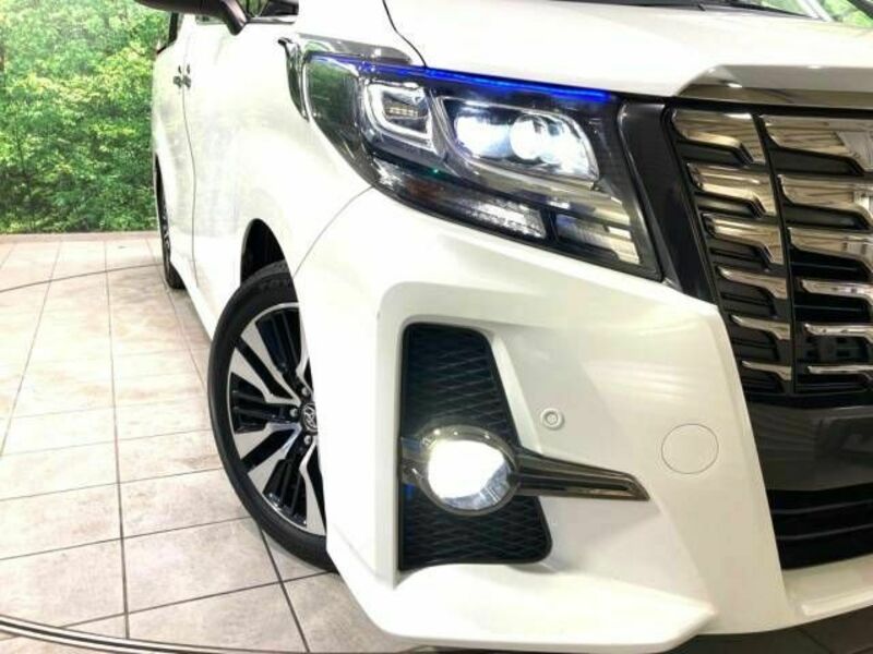 ALPHARD-12