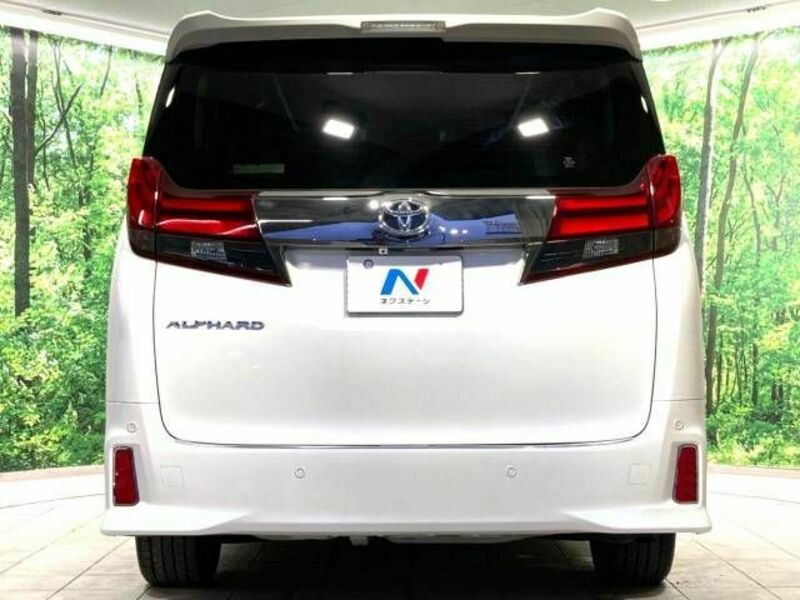 ALPHARD-16