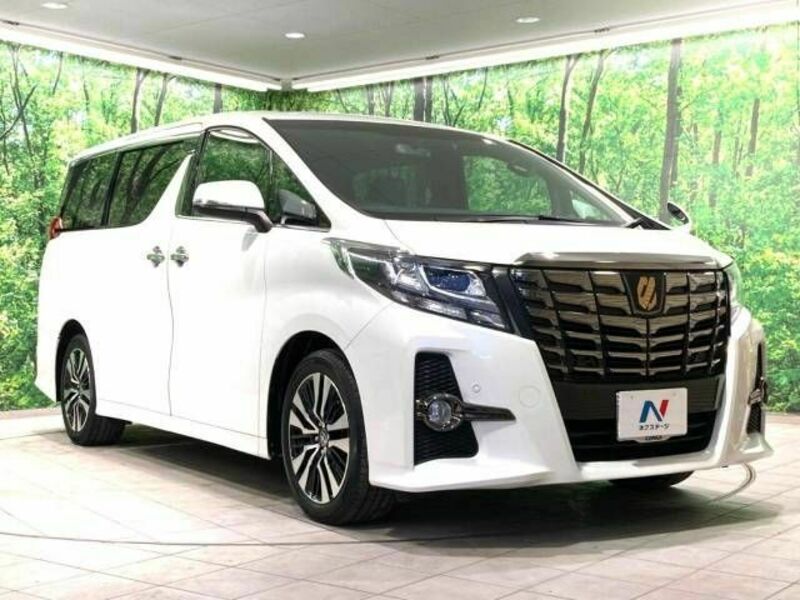 ALPHARD-17