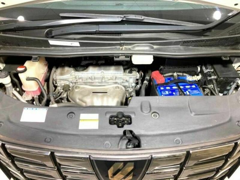 ALPHARD-19