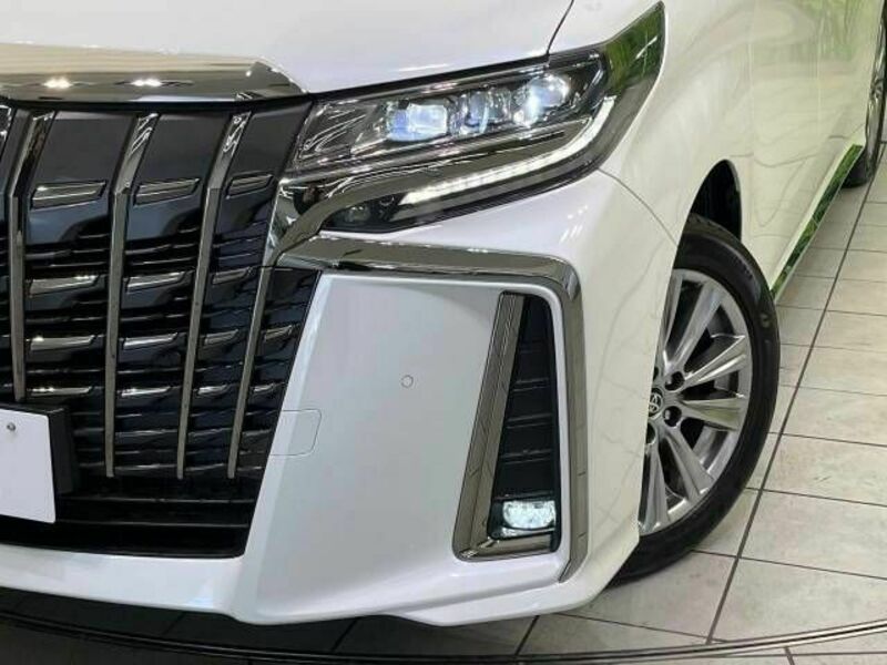 ALPHARD-13