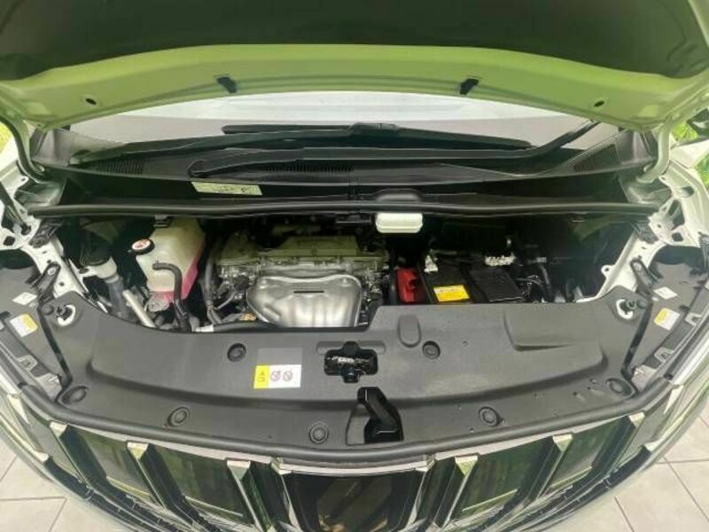 ALPHARD-19