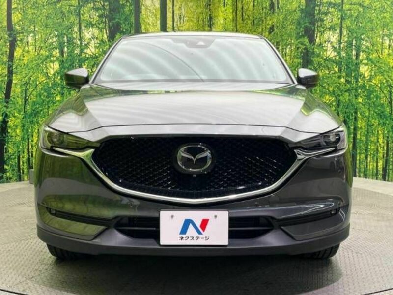 CX-5-13