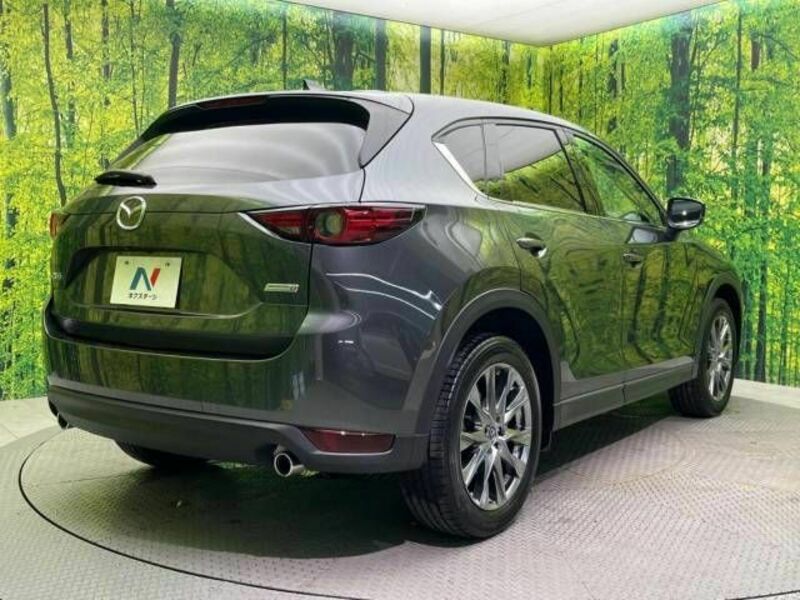 CX-5-16