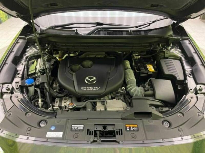 CX-5-17