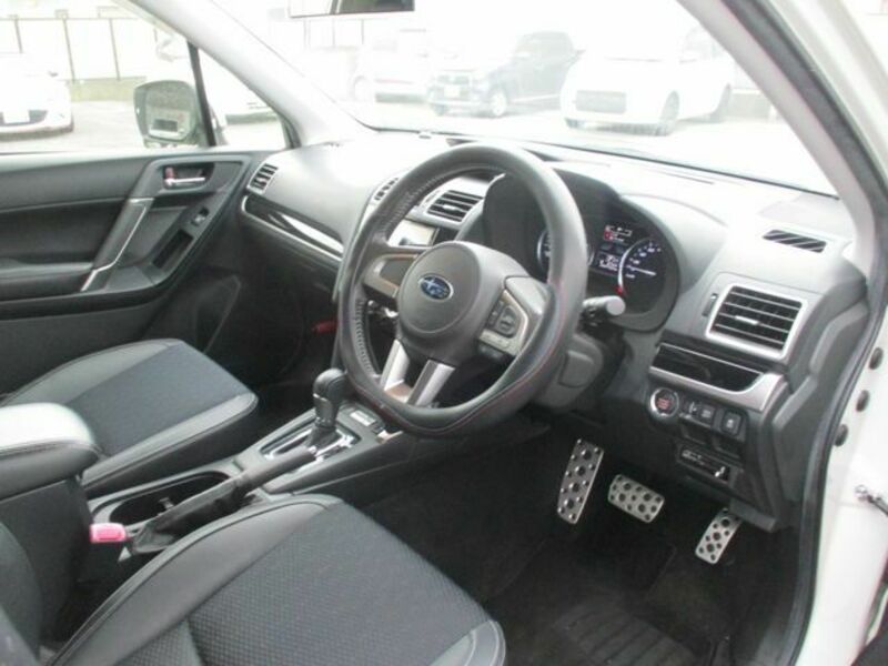 FORESTER-9