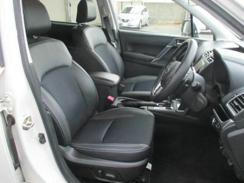 FORESTER-10