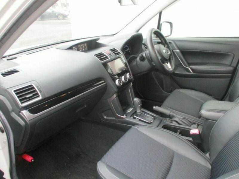 FORESTER-11
