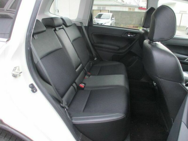 FORESTER-13