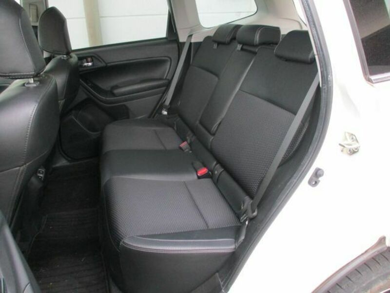 FORESTER-14