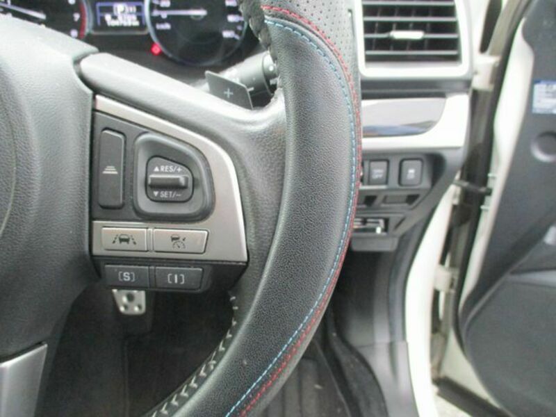 FORESTER-17