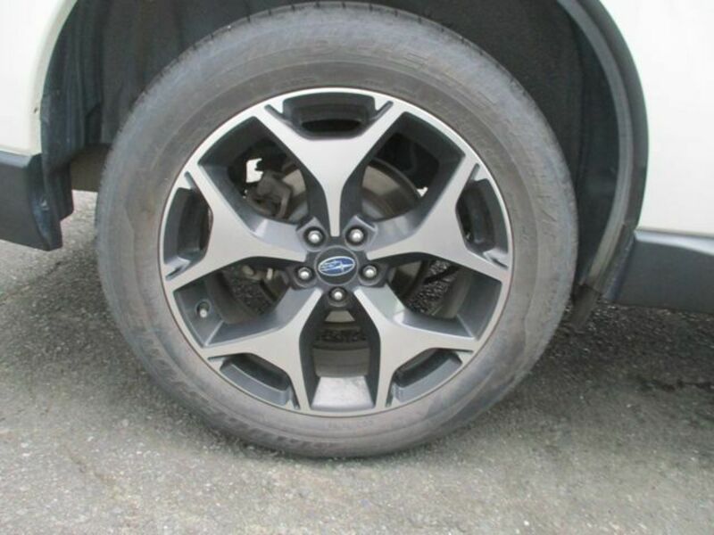 FORESTER-26