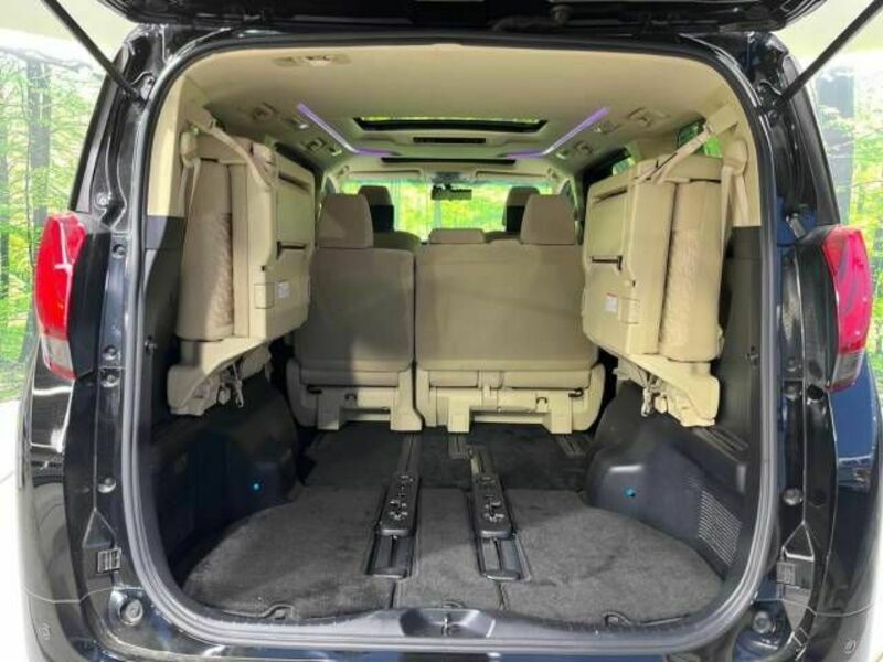 ALPHARD-11