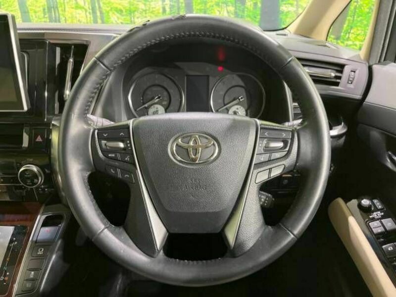 ALPHARD-12