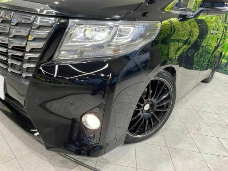 ALPHARD-13