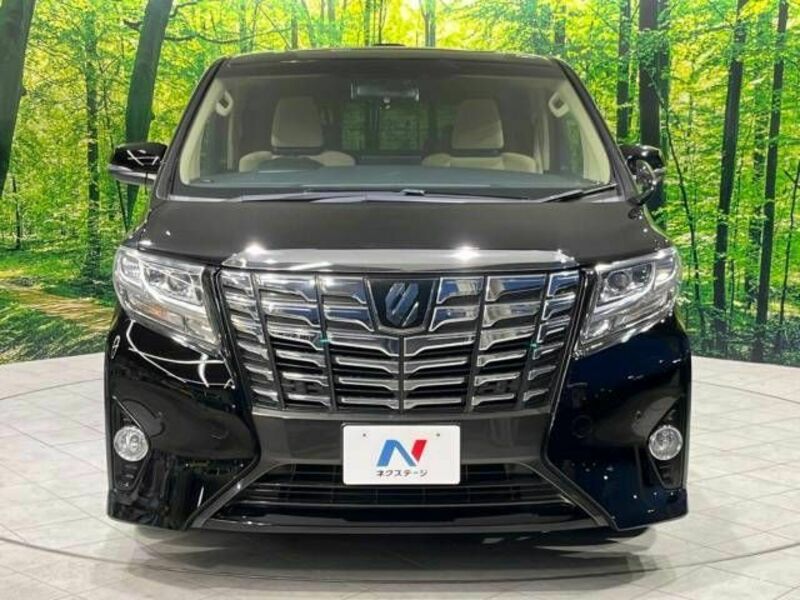 ALPHARD-15