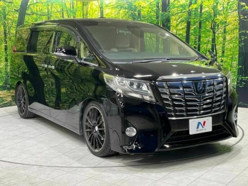 ALPHARD-17