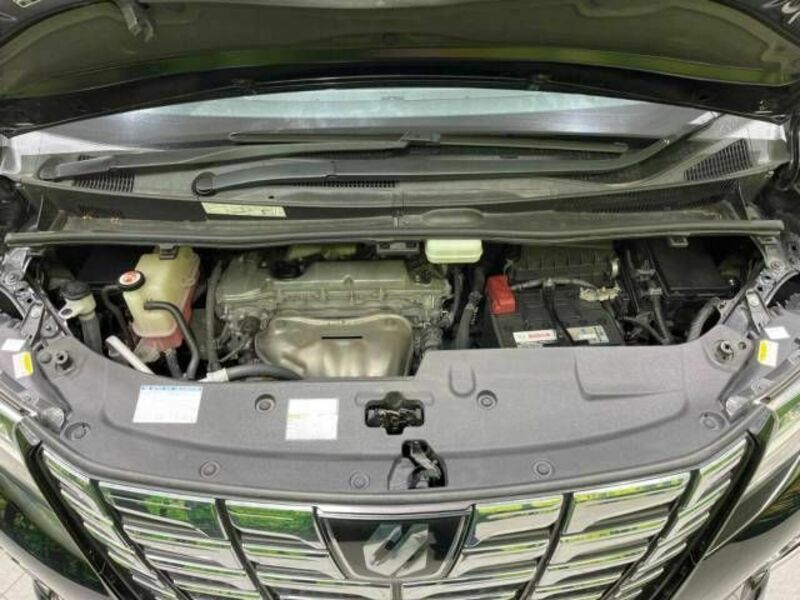 ALPHARD-19