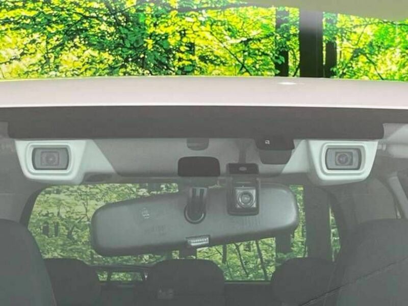 FORESTER-2