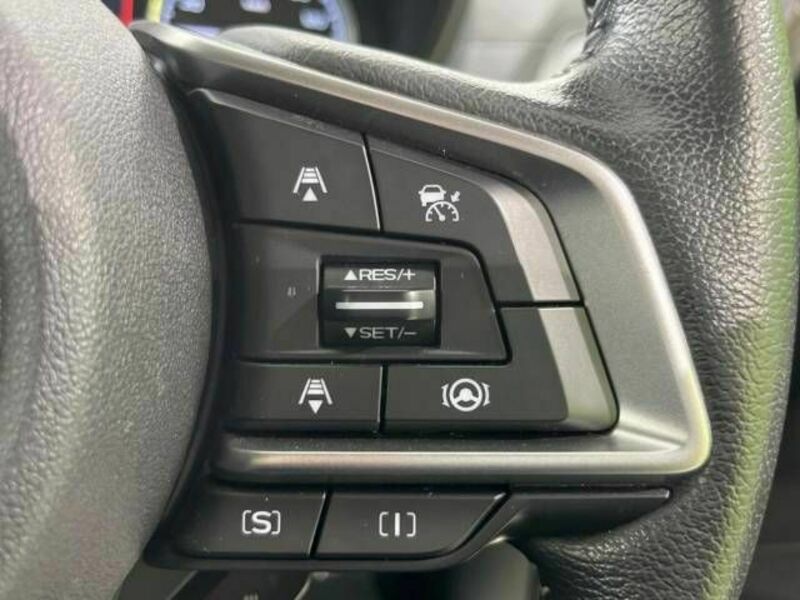 FORESTER-4