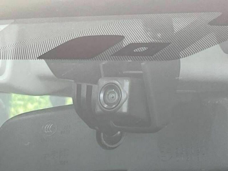 FORESTER-7