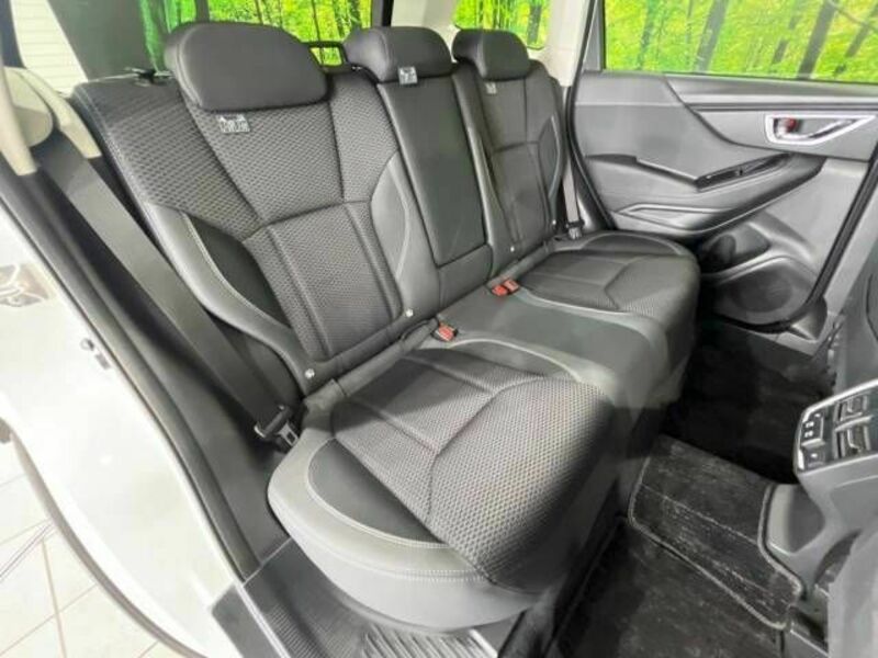 FORESTER-9