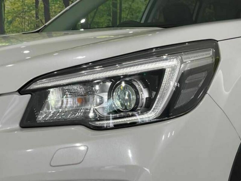 FORESTER-12